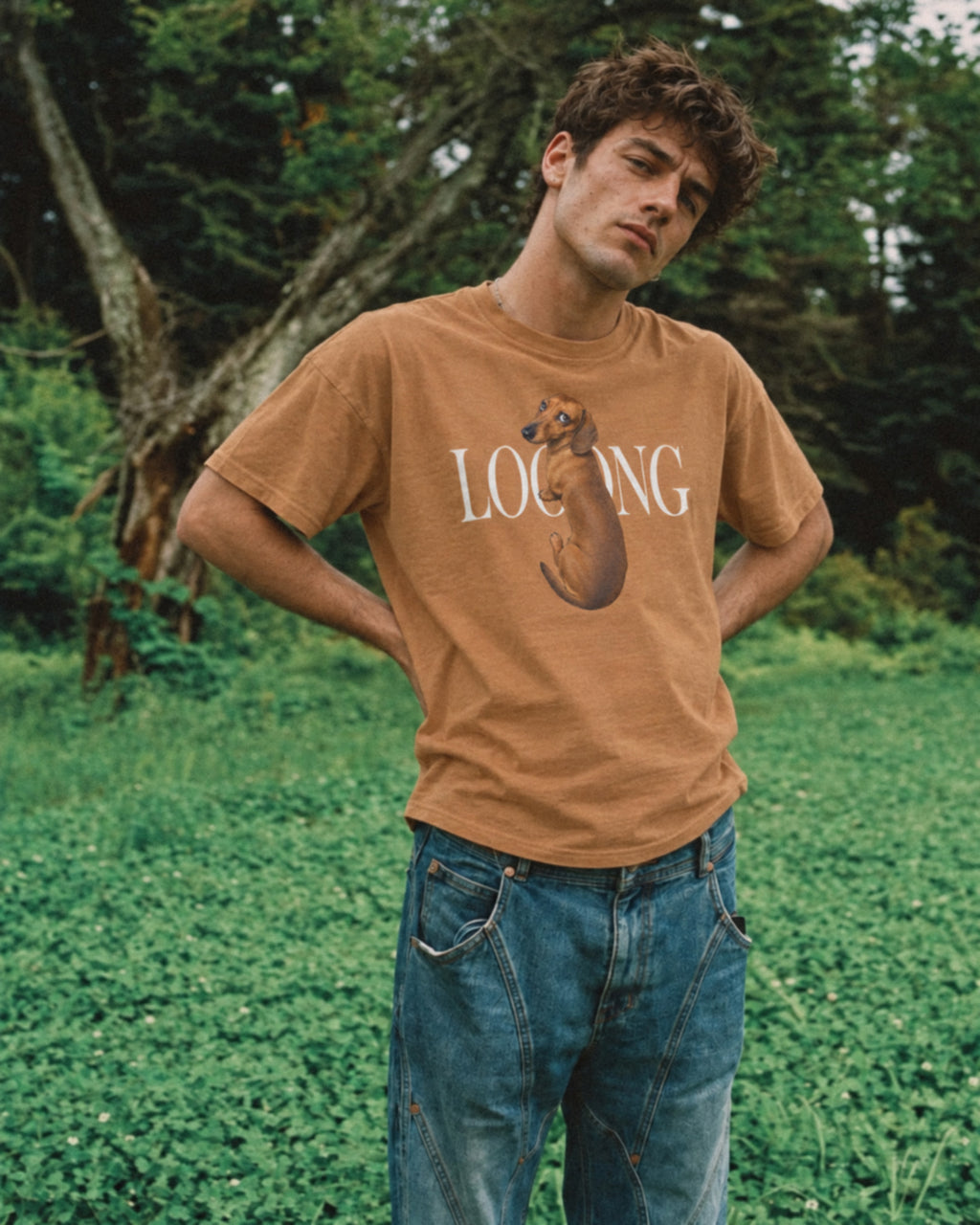 Looong Dachshund Honey Tee